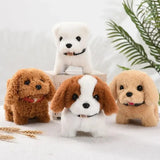 Chenille Pipe Cleaner Craft Kits