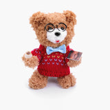 Chenille Pipe Cleaner Craft Kits